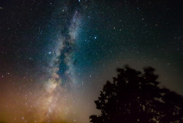 Milky Way stars and rural countryside tree silhouettes