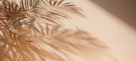 Obraz premium The elegant shadow of a palm leaf against a warm background.
