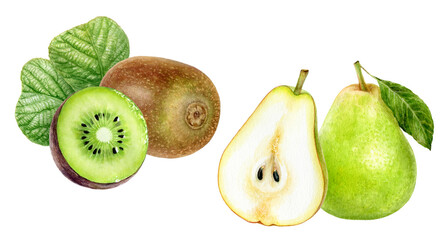 Watercolor Realistic Kiwi and Pear with Green Leaves Illustration