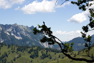 A vibrant mountain landscape unfolds with rugged peaks, rolling green hills, and dense forests...