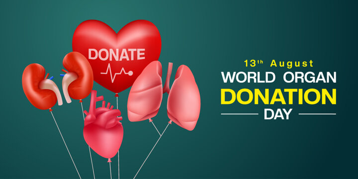 13 th August is World Organ Donation Day. Heart, lung, kidney and more. Great for posters, banners and social media. Dark green background. - Powered by Adobe