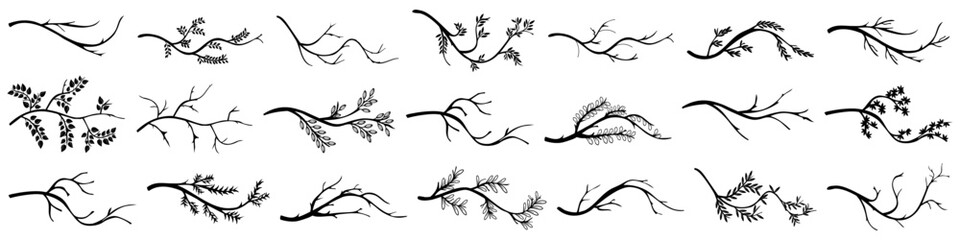 Tree branch collection. Set of tree branch elements. Black branch silhouette