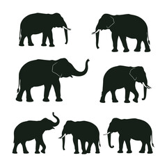 Fototapeta premium Silhouette set of Elephant vector collection
