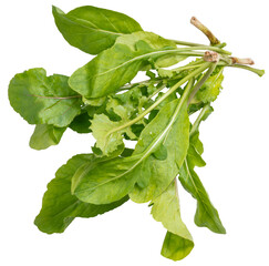 Fresh, crisp, and full of flavor Rocket leaves in their purest form, isolated on white background PNG File.