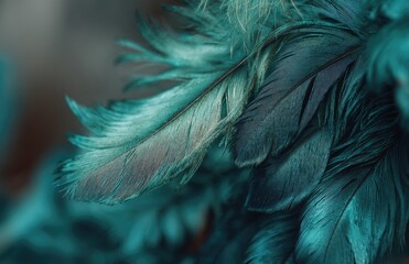 green feathers with abstract texture and background
