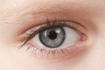 Close up view of a blue child eye looking at camera