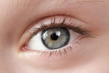 Close up view of a blue child eye looking at camera