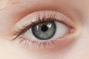 Close up view of a blue child eye looking at camera