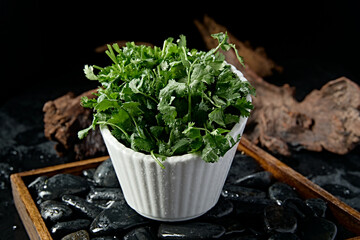 Fresh hot pot ingredients fresh coriander