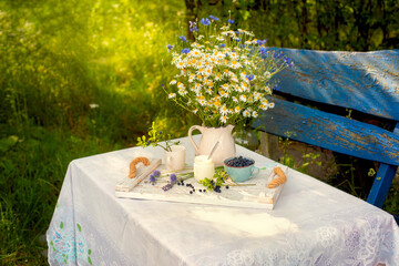 Fresh homemade yogurt made from natural milk served with wild forest blueberries in a rustic garden setting. Organic healthy breakfast. Natural rural food concept.