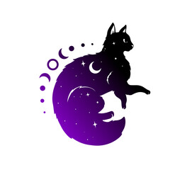 Vector illustration of a magical cat in silhouette style filled with stars, moons, and cosmic textures. Mysterious and dreamy design using deep blue, black, and violet tones.