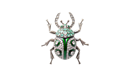 Insect brooch isolated on transparent background, decorative beetle design  