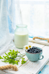 
Wild forest blueberries and a glass jar of fresh homemade cow's milk on a rustic white tray. Organic country breakfast. Natural farm food, healthy and simple rural lifestyle.