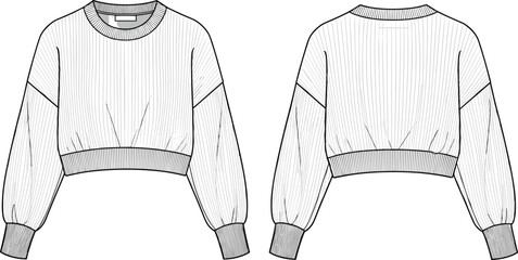 Cad drawing flat vector illustration of cropped sweatshirt with balloon sleeves, front and back view, fashion technical sketch, casual wear