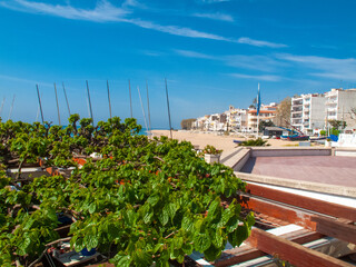 Playa y paseo marítimo de Sant Pol de Mar​ en la provincia de Barcelona, Cataluña, España