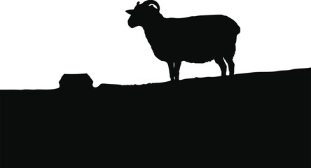 silhouette of a goat