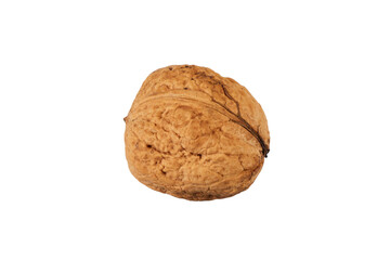 single walnut isolated on white or transparent png