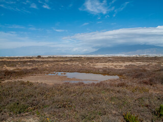 Paraje Natural Punta Entinas-Sabinar, catalogado como Espacio Natural Protegido. Roquetas de Mar, Almería, Andalucía, España.