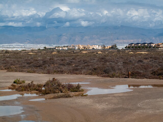 Paraje Natural Punta Entinas-Sabinar, catalogado como Espacio Natural Protegido. Roquetas de Mar, Almería, Andalucía, España.