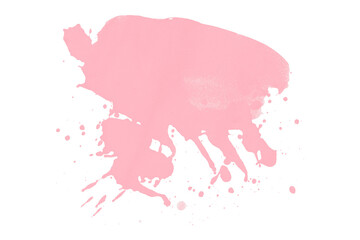 Bright pink watercolor or ink stain with watercolor marks. Brush strokes and watercolor splashes set on transparent background.
