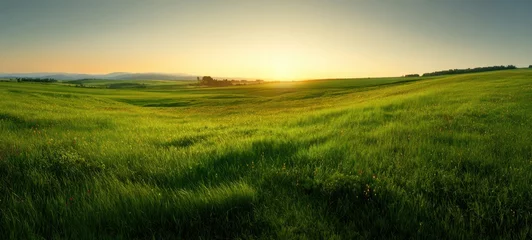 Foto auf Acrylglas Wiese, Sumpf The vibrant green fields illuminated by a breathtaking sunrise over rolling hills  © Nazar