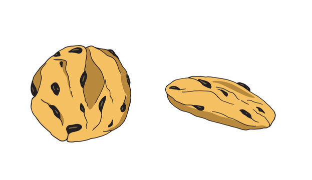 Vector hand drawn chocolate chip cookies isolated on whitebackground. Gingerbread cookies. Hand drawn illustration. National Chocolate Chip Cookie day.