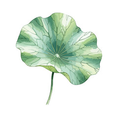 Lotus leaf isolated in a transparent PNG background – watercolour art