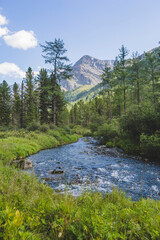 River in the Kuiguk Valley. Altai mountains landscape