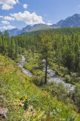 River in the Kuiguk Valley. Altai mountains landscape