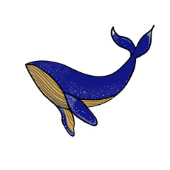 vector illustration of a fish
