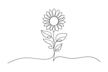 Minimalist sunflower line art vector illustration