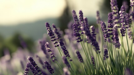 Naklejka premium Realistic stock photo of 'green environment' scene using lavenders tones, conveying a exciting mood, tailored for Ad agencies.
