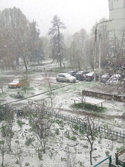 View from the window at a snowstorm that slowly covers a young green grass carpet in mid-spring.