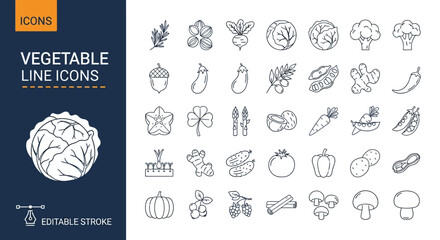 Vegetable Icons Outline Style Icons for Healthy Eating, Featuring Fresh Produce, Cabbage, and More