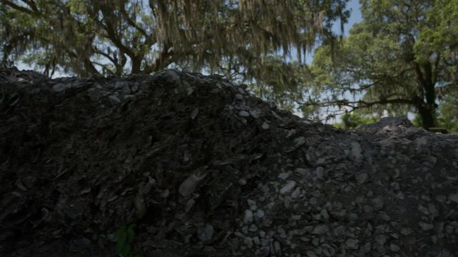 Exploring a historic shell mound under clear skies in a serene natural setting