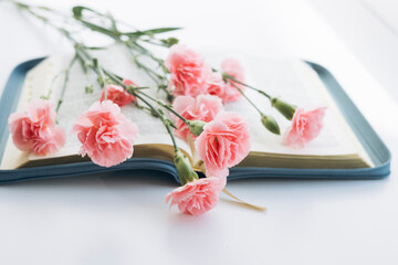 Pink carnations on an open book