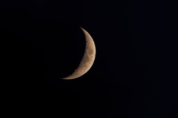 A sharp crescent moon glows against the dark night sky, revealing detailed surface textures in a peaceful celestial scene captured with clarity.