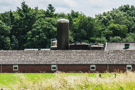 a pigsty with silos behind a meadow and for trees in summer