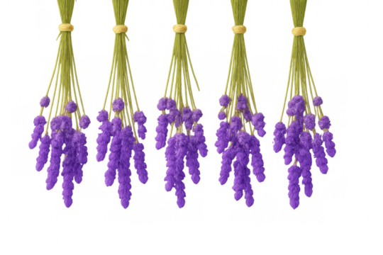 Five bunches of dried purple statice sinuate statice flowers hanging and isolated on transparent background