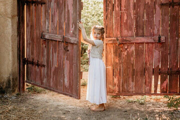 Beautiful girl with pigtails at a large wooden gate in the summer in the village