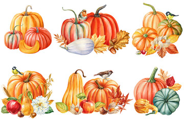 Watercolor pumpkin clipart set with autumn leaves birds fruits gourds and flowers for Thanksgiving cards and seasonal design