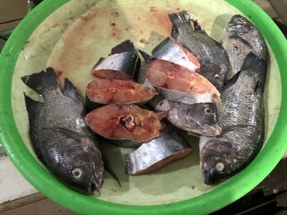 Freshly cut tilapia fish, ready for cooking. Perfect for grilling, frying, or baking.