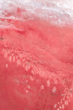 Aerial view of vibrant red salt lagoon landscape