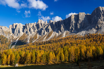 Golden larch forest glowing under imposing Dolomites peaks in autumn