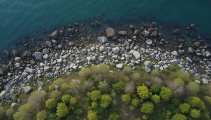 Aerial View of Rocky Shoreline with Lush Green Trees and Clear Water