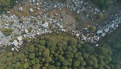 Aerial View of Rocky Riverbank Surrounded by Dense Green Forest