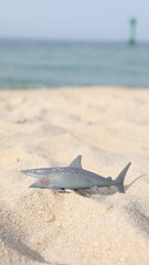 모래 위 상어 장난감