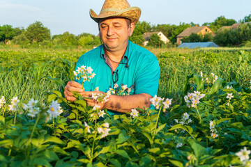 A farmer in a straw hat carefully picks flowers in a vibrant green field during the golden hour....