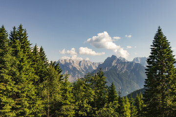 summer alpine view with pine forest and rugged mountains under clear sky with copy space. fresh alpine landscape with empty