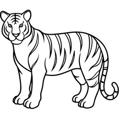 Elegant White Tiger Outline Line Art Vector
